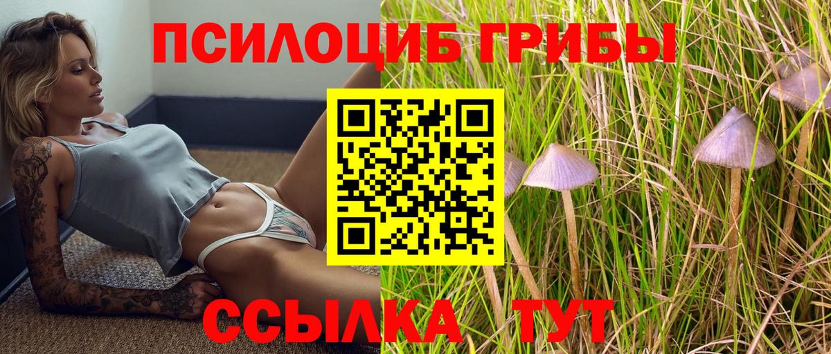 Псилоцибиновые грибы Magic Shrooms Тимашёвск