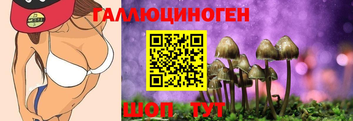Тимашёвск  Псилоцибиновые грибы Psilocybine cubensis  Псилоцибиновые грибы ЛСД  Вход с VPN 